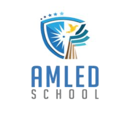 AMLED School